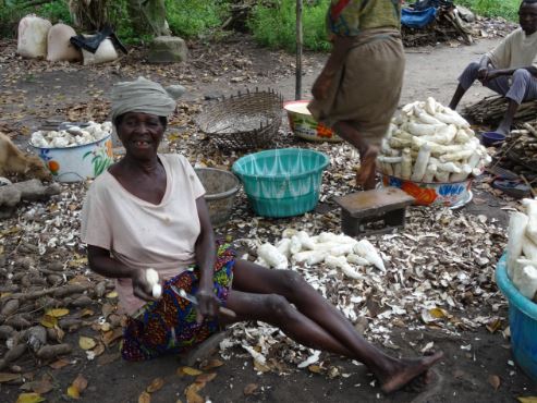 épluchage manioc