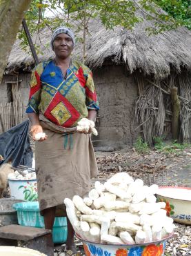 épluchage manioc